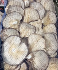 Alternative view of SETA – BANDEJA DE 12 PIEZAS